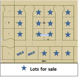 Hazelridge lot picture