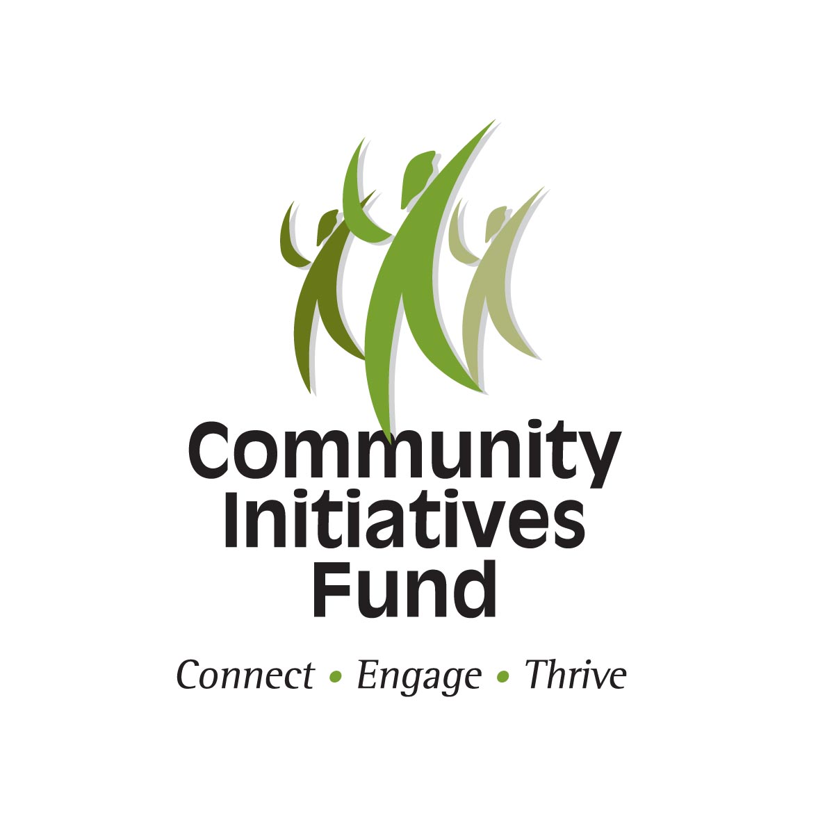 Community Initiatives Funds
